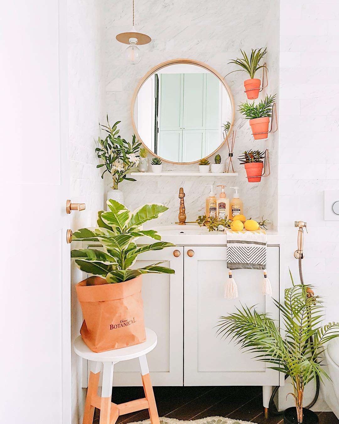 Plantas individuales en macetas de terracota colgadas en un baño