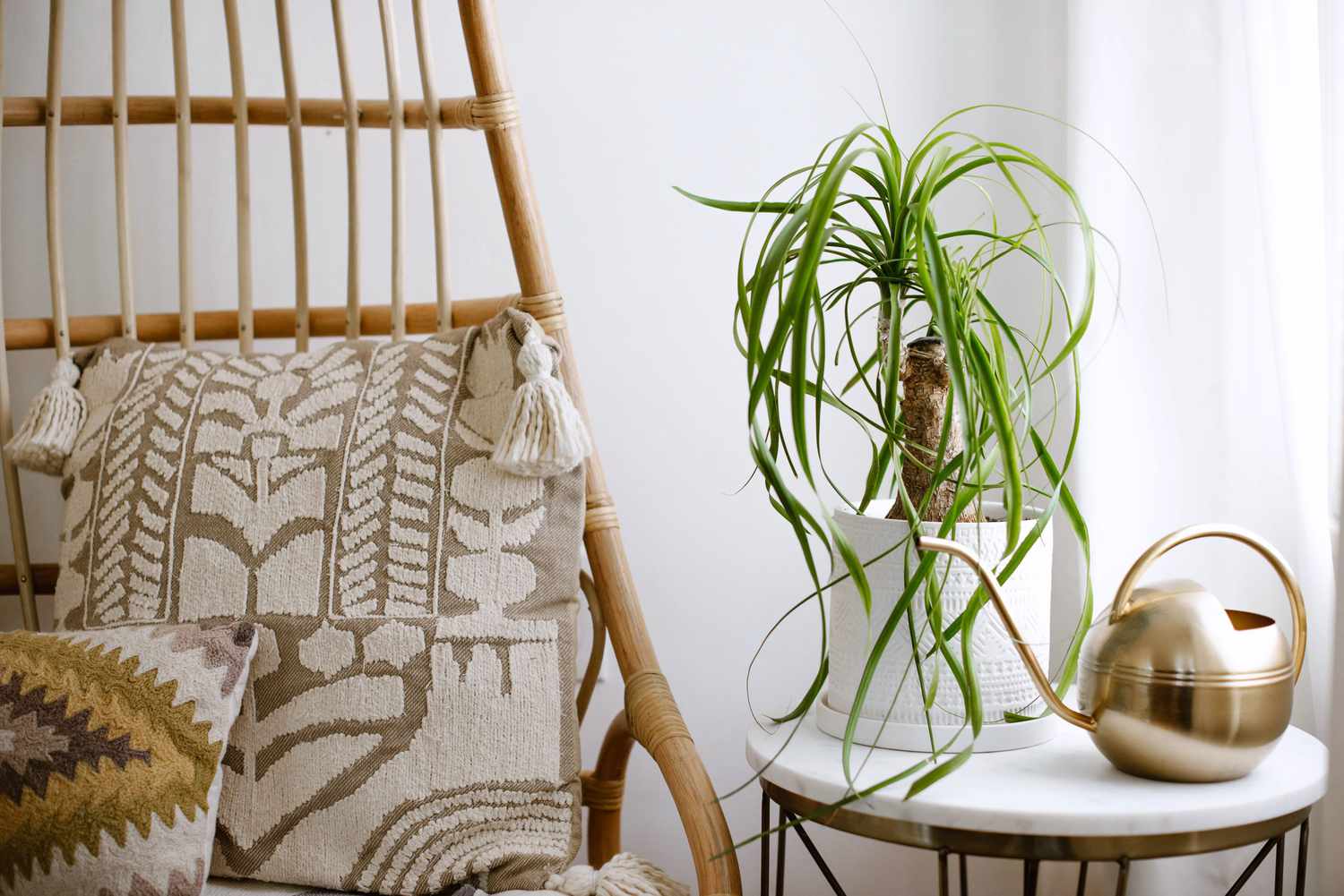 Ponytail palm in white pot with long wispy fronds next to gold watering can and patterned pillows
