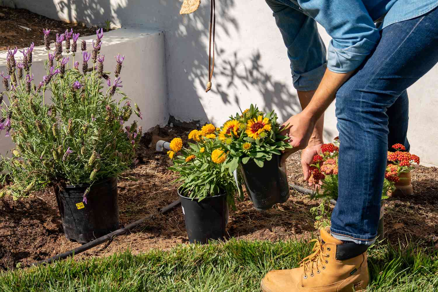 Blumen- und Pflanzensorten auf dem Gartenbeet angeordnet