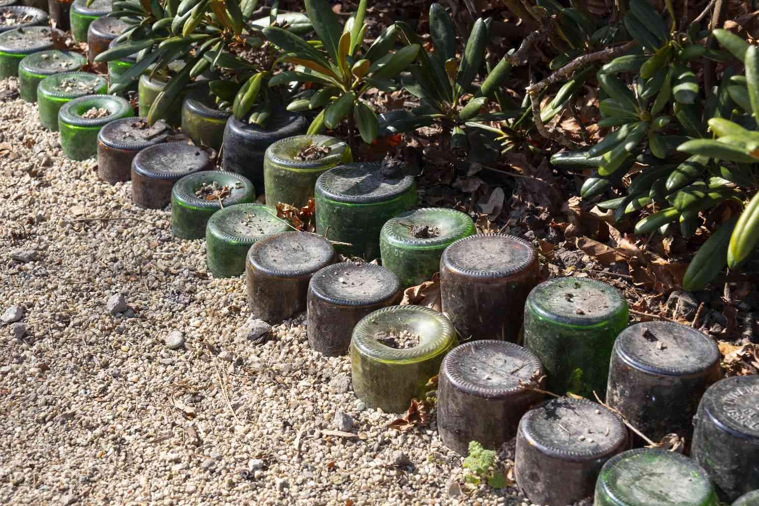 Botellas utilizadas para bordear un jardín