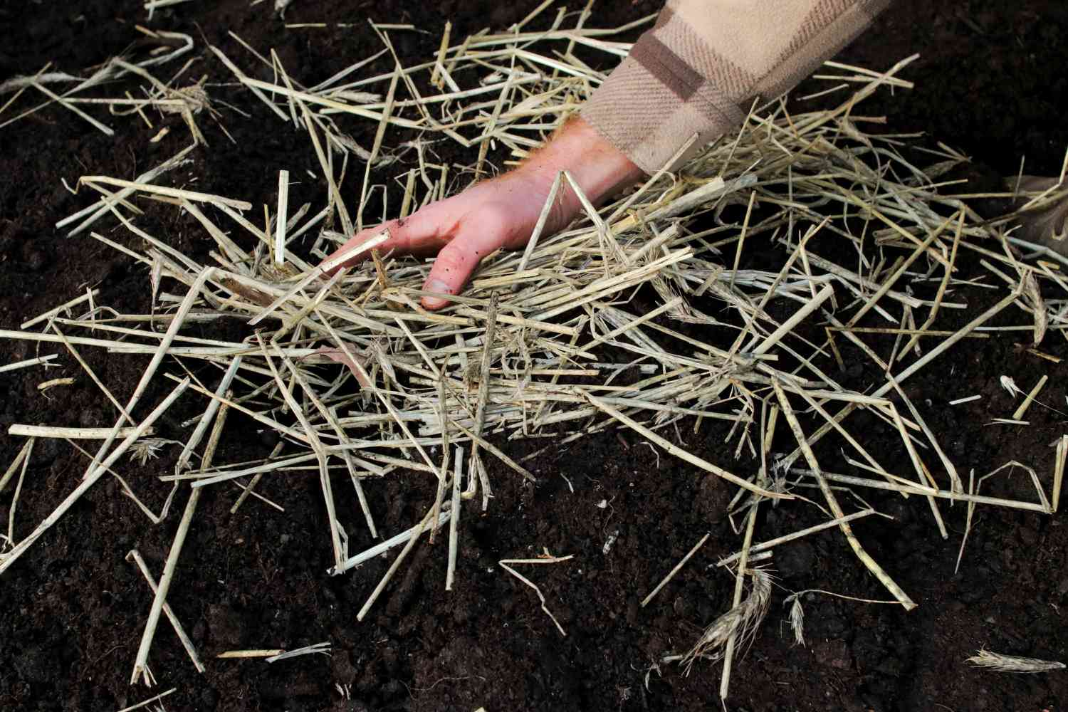 Jardín de lasaña mantenido con trozos largos de paja 