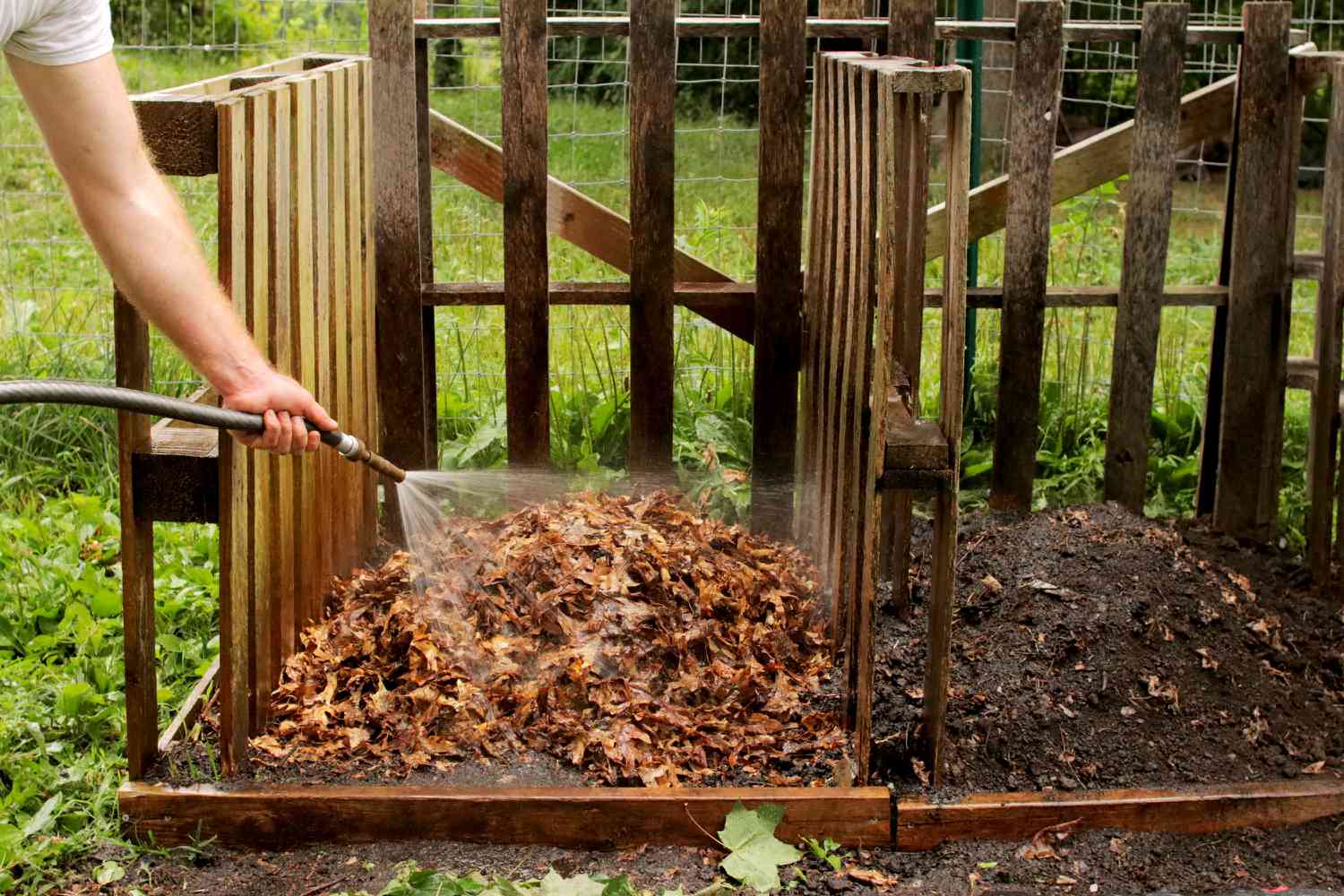 Ein Haufen brauner Blätter in einer Holztonne wird mit einem Gartenschlauch besprüht