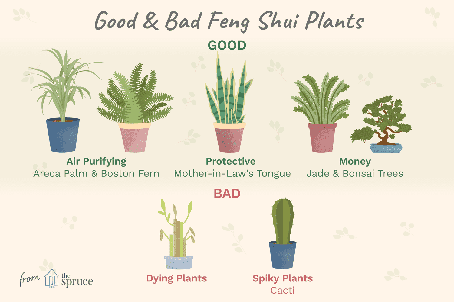 As melhores plantas do Feng Shui