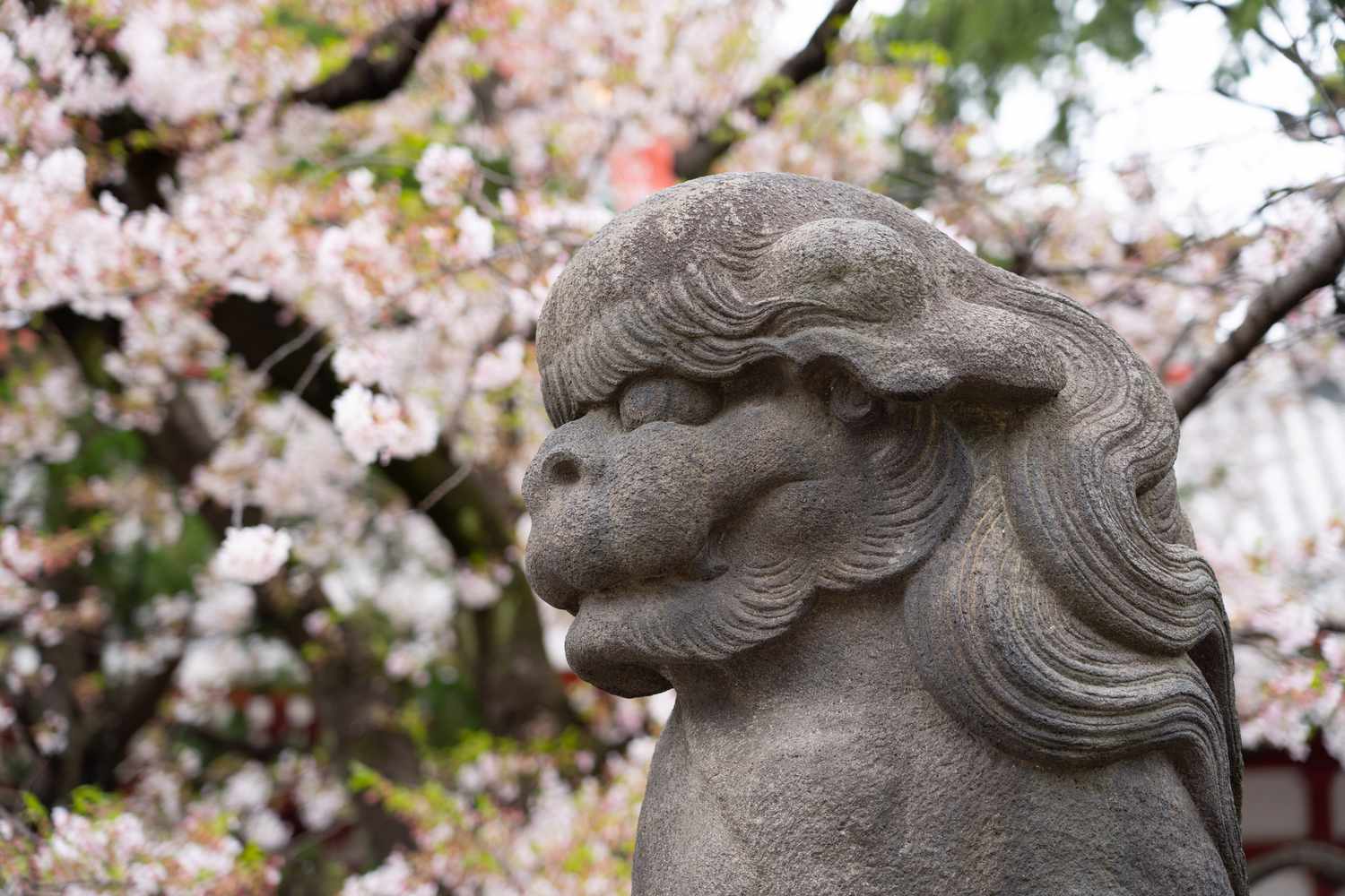 Japanese lion statue, Tokyo, Japan