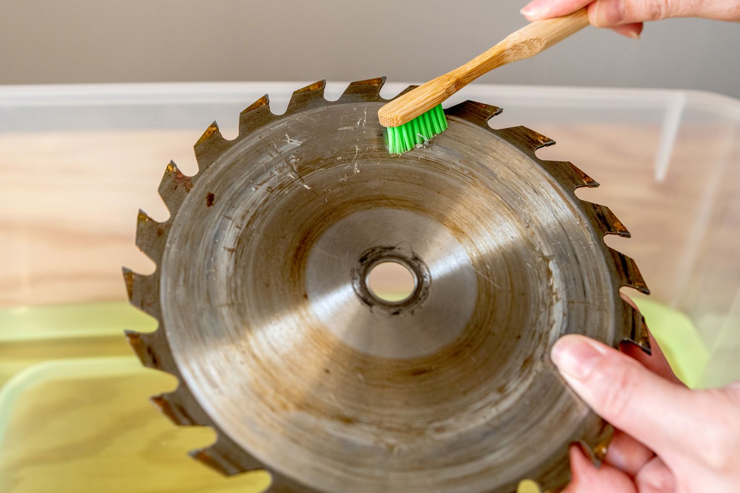 Dirty saw blade scrubbed with toothbrush over cleaning container