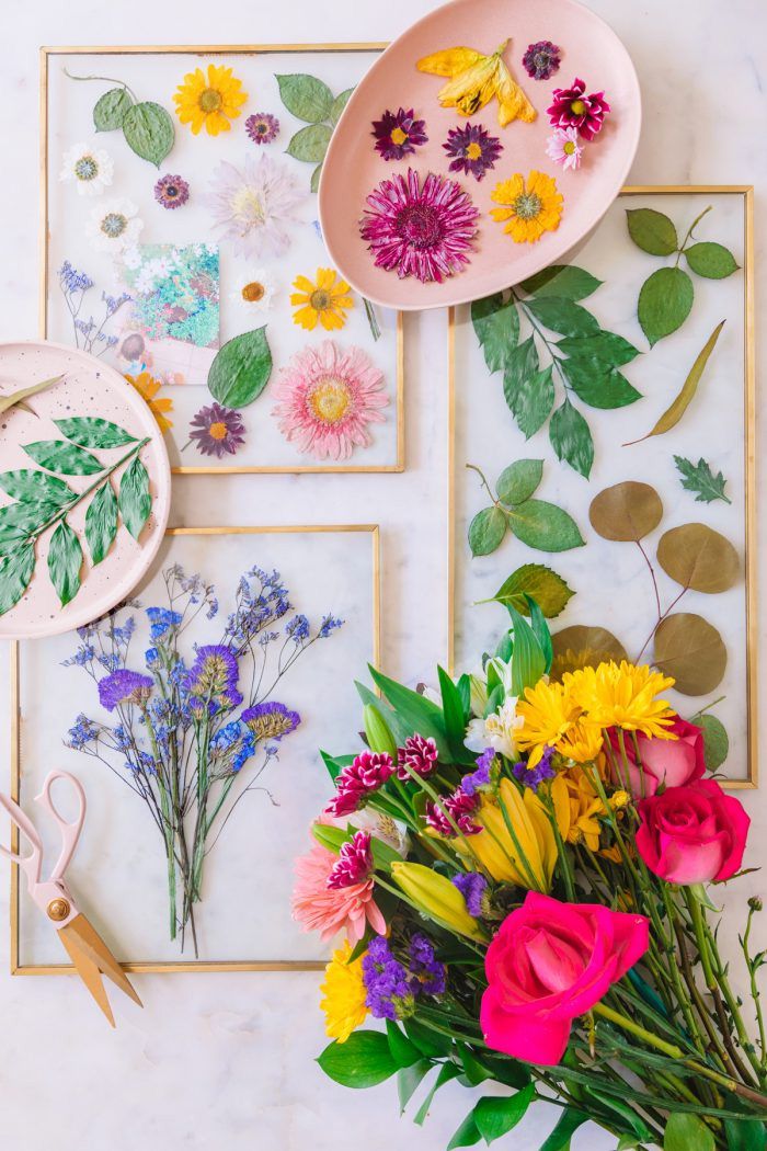 Encadrement de fleurs séchées