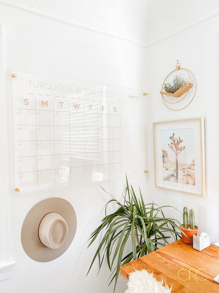 Bureau minimaliste blanc avec une petite plante aérienne sur un cintre en bois