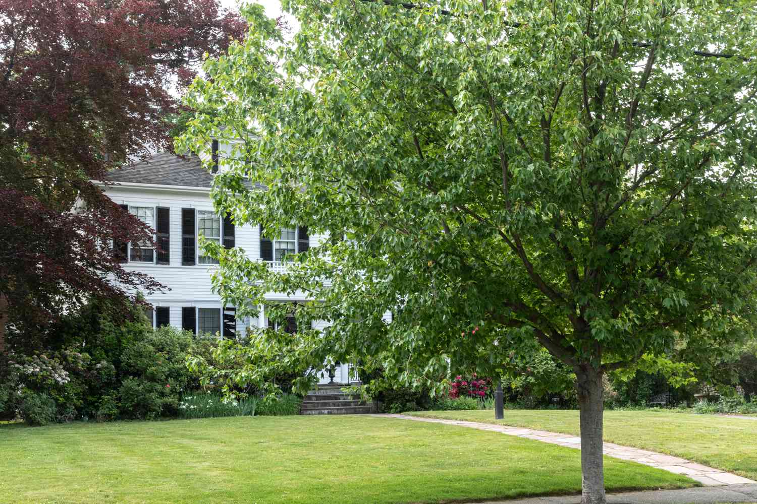 Baum vor großem weißen Haus mit ausgedehntem Vorgarten