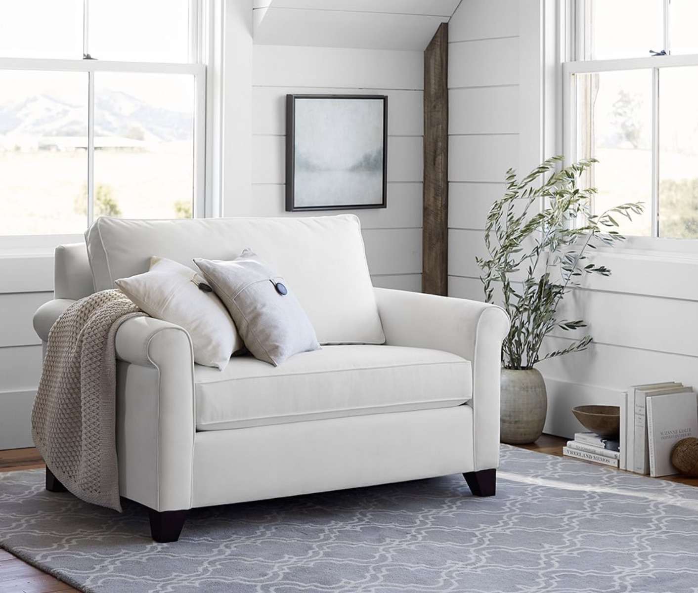 Pottery Barn Sleeper Sofa