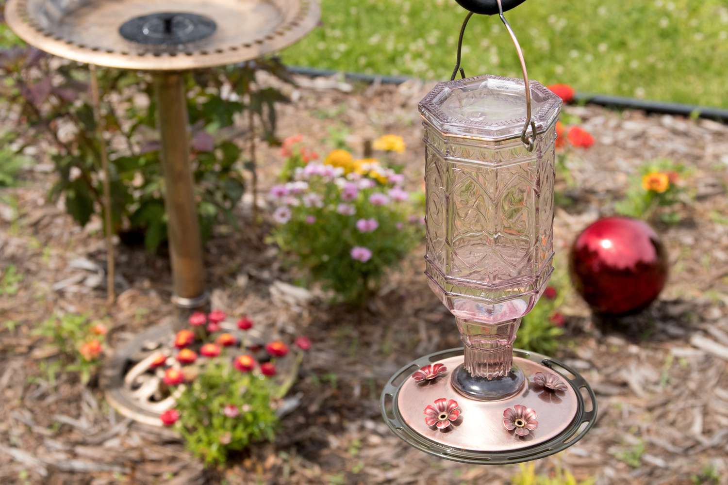Cómo hacer un jardín de colibríes
