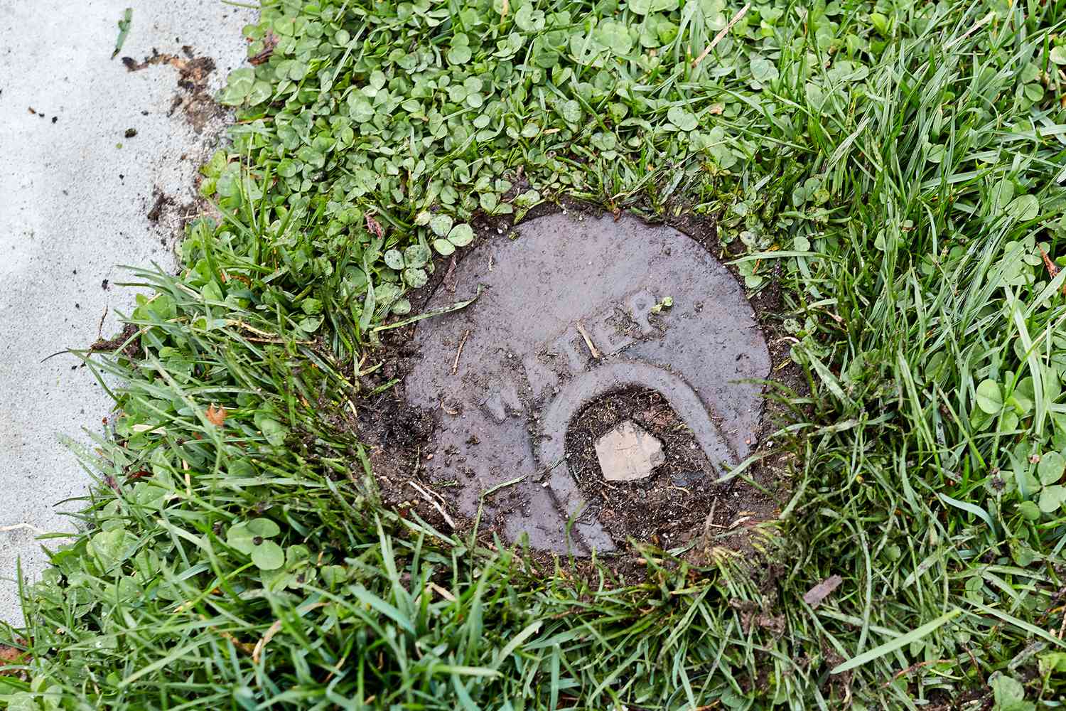 Wasserabsperrung umgeben von Gras vor dem Haus an der Bordsteinkante