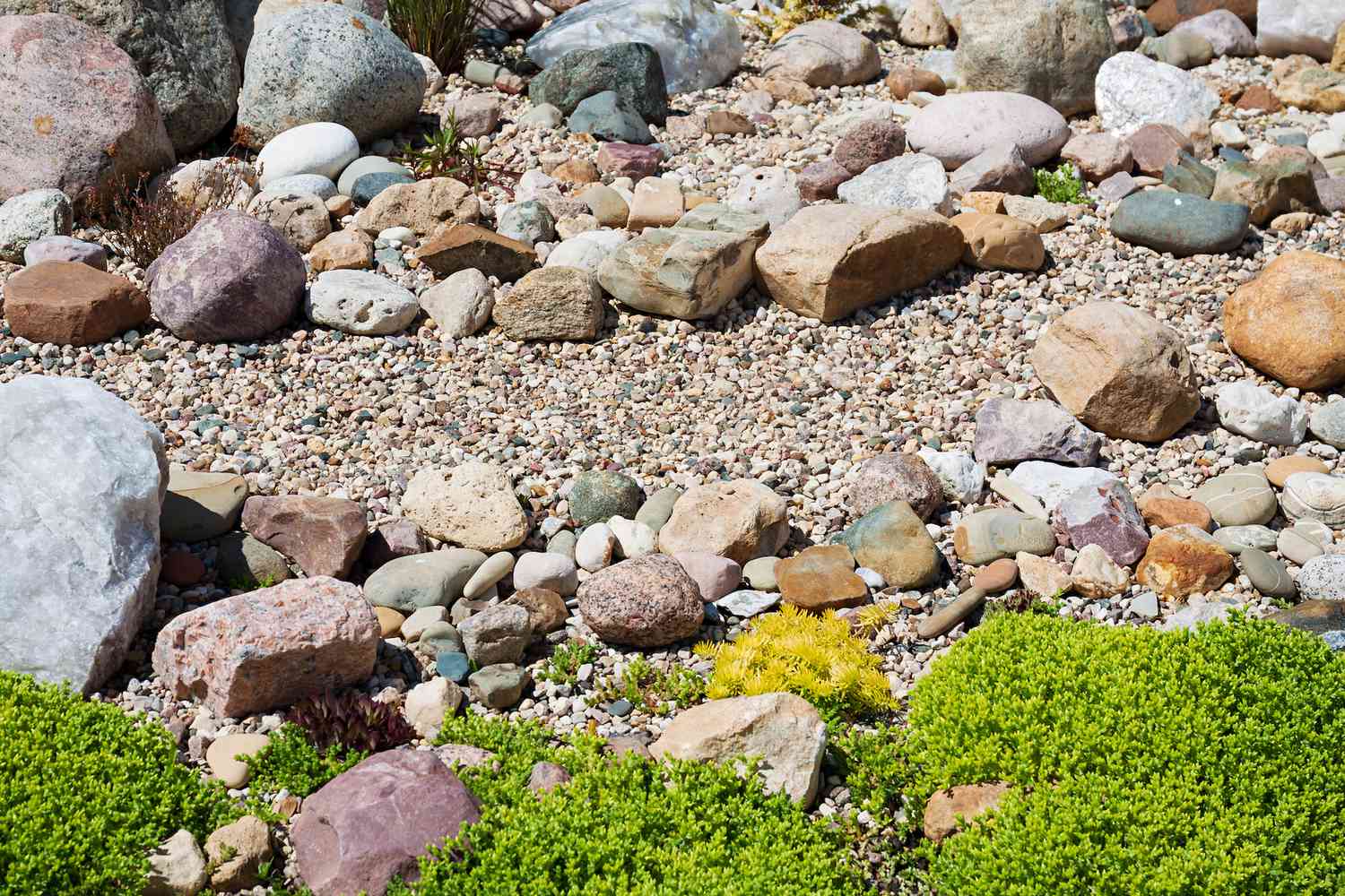 Steingarten mit Kies und größeren Steinen und kriechenden Bodendeckern