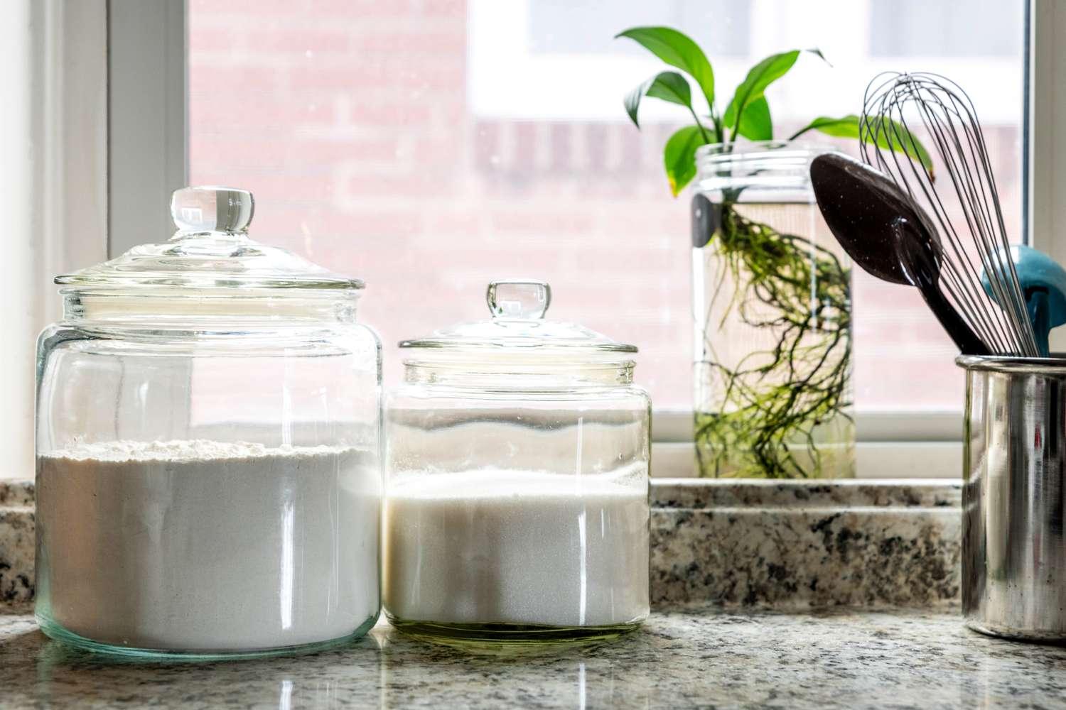 Mehl und Zucker in Glasbehältern auf dem Küchentisch mit Pflanze am Fenster