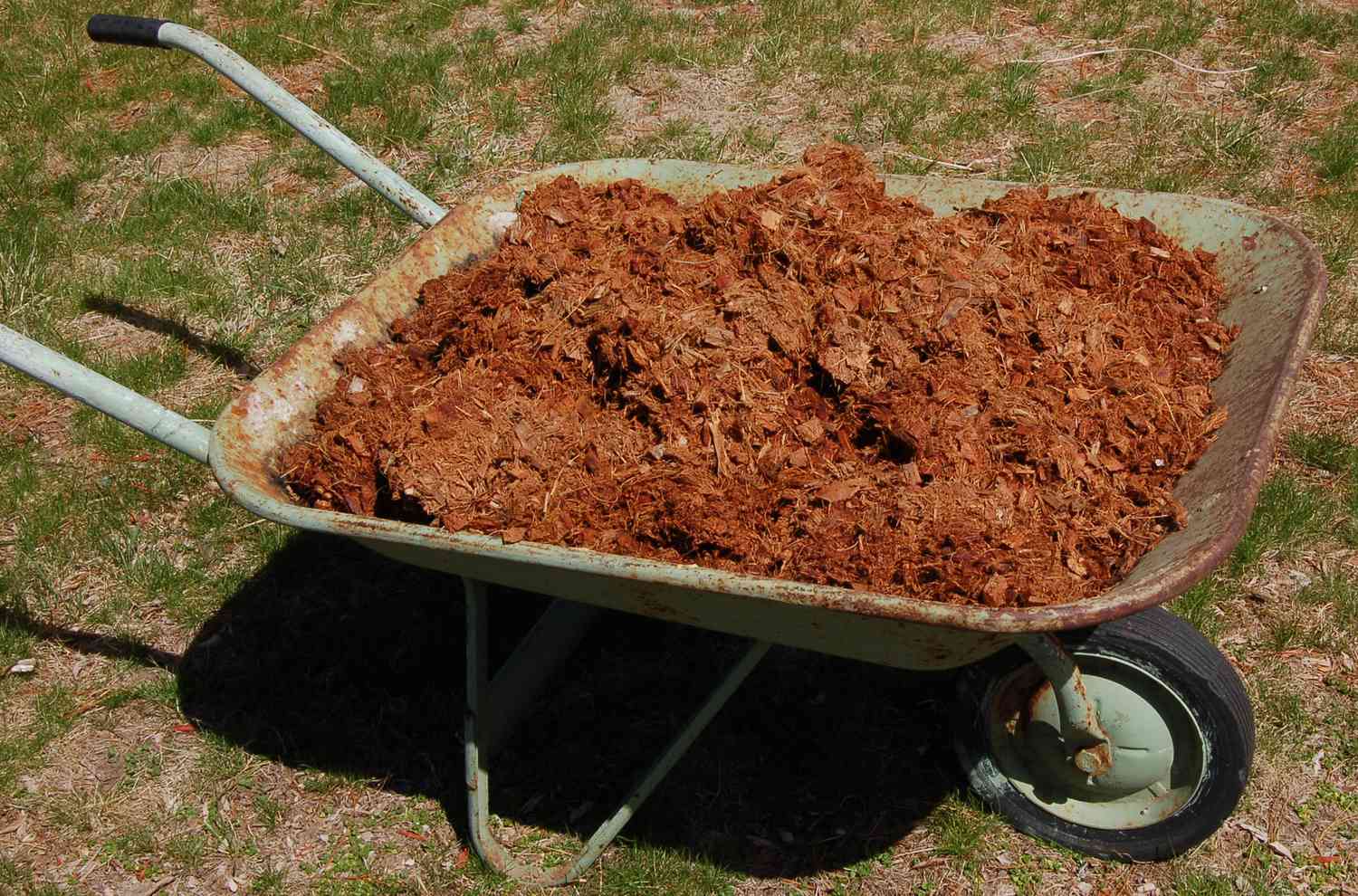 coir mulch in wheelbarrow.