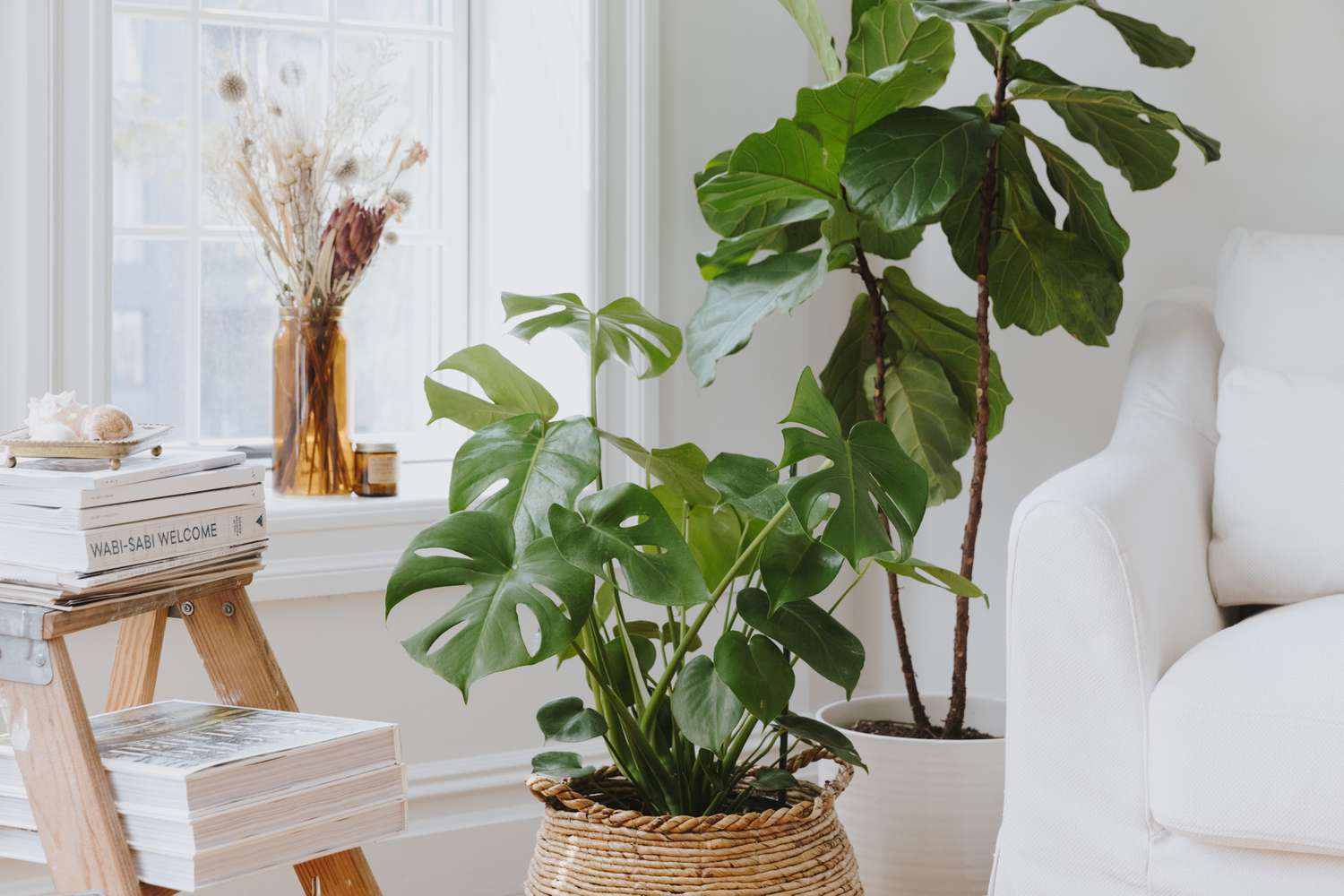 bringing greenery into a white room