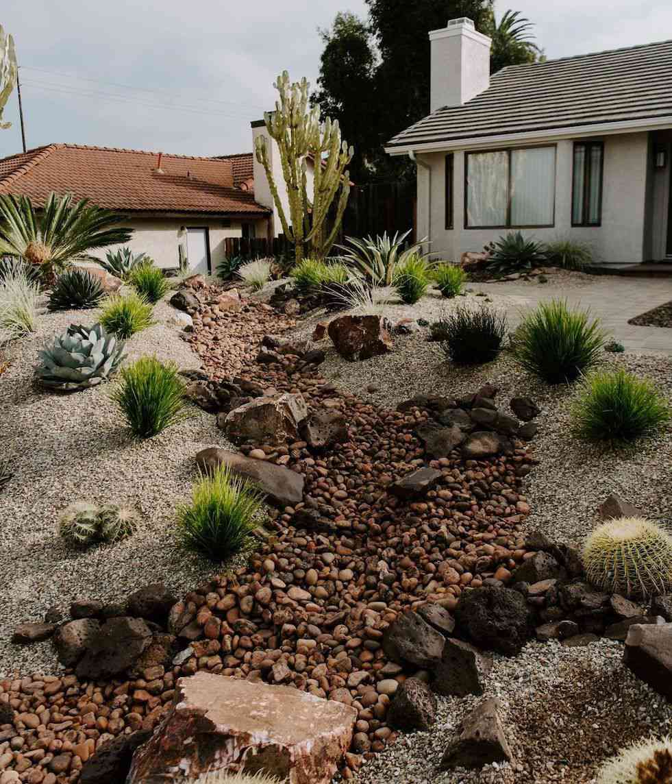 Leito de riacho seco com plantações de cactos em uma paisagem desértica