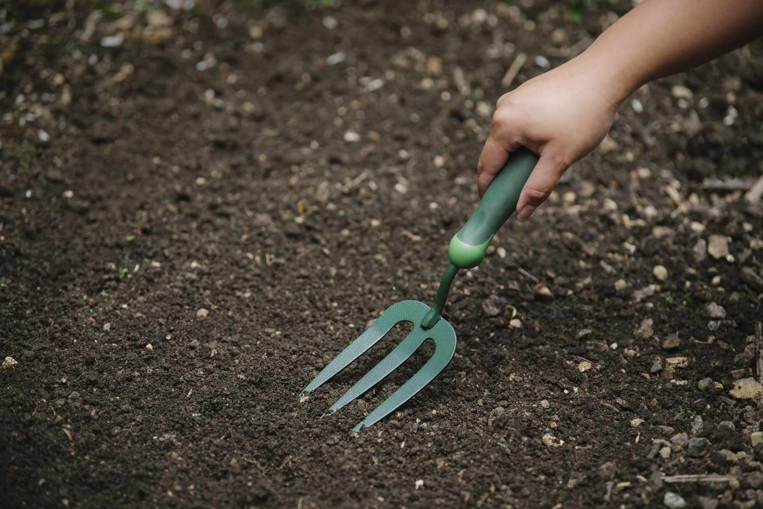 4 «trucos» de jardinería que no funcionan, según un profesional