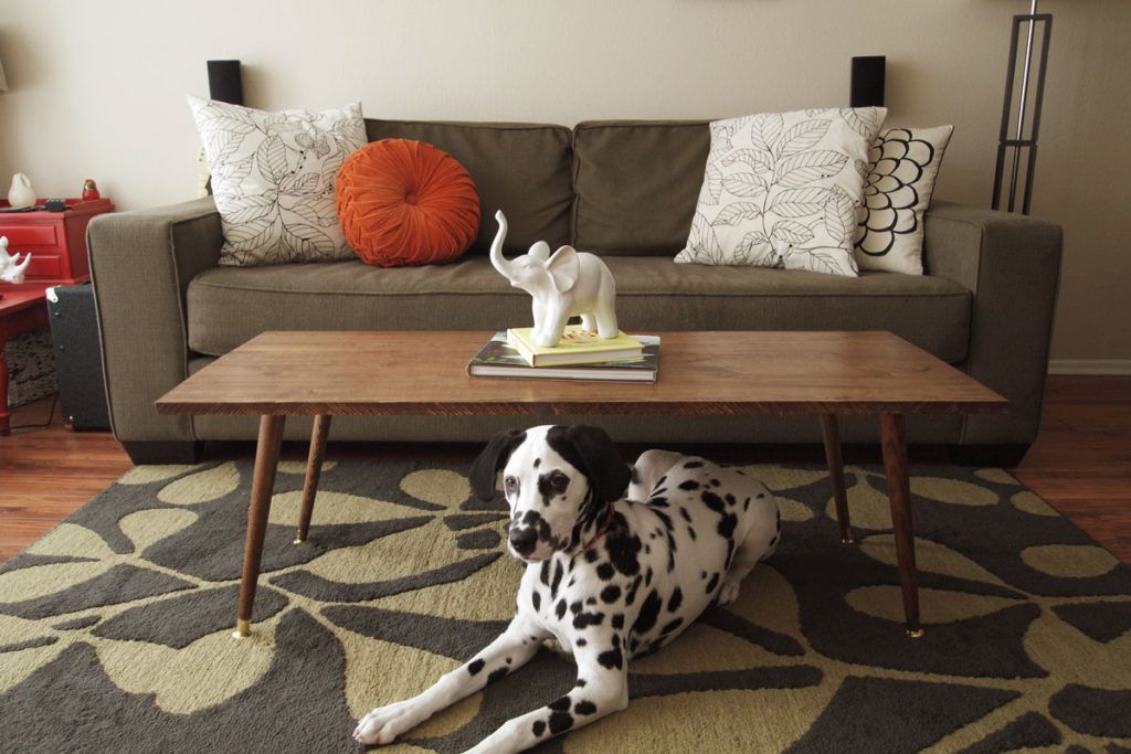 Salon moderne du milieu du siècle avec chien dalmatien sur le tapis