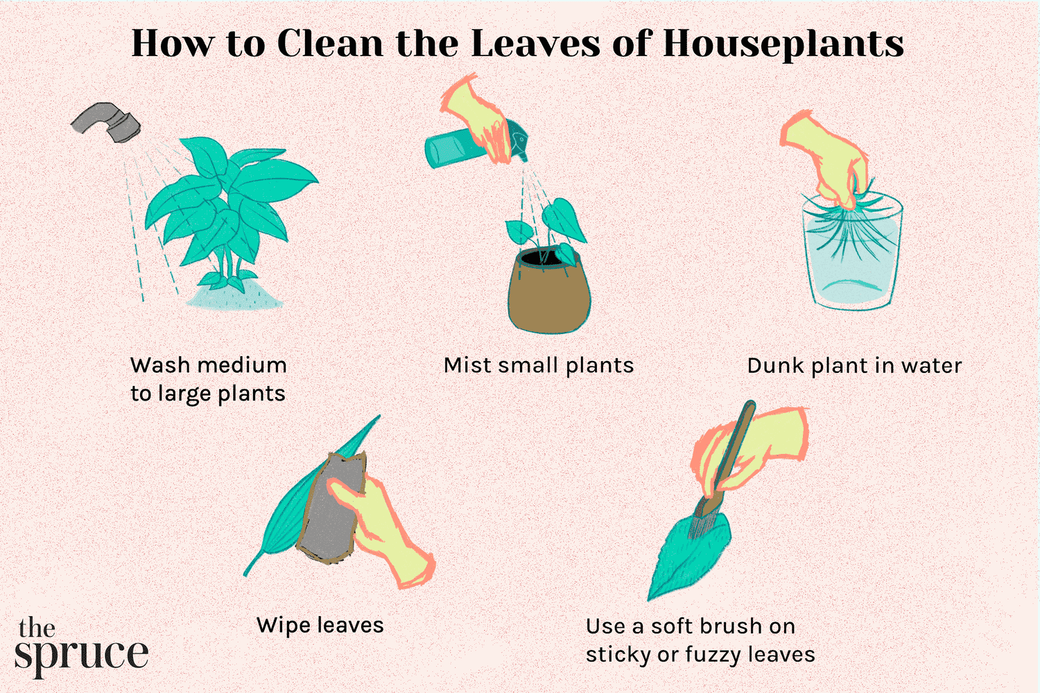 Comment nettoyer les feuilles des plantes d'intérieur
