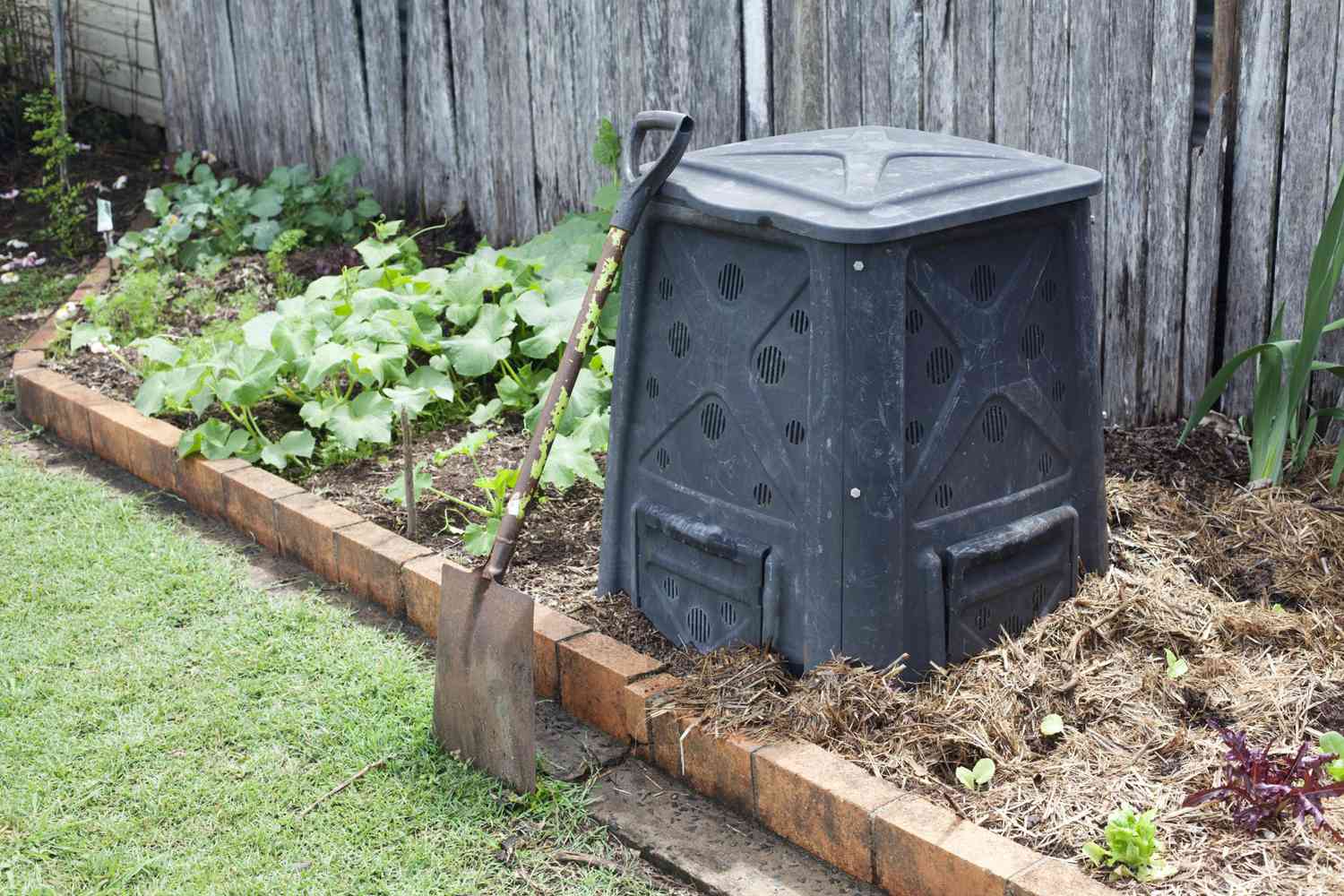 Tipps zur Kompostierung von Unkraut