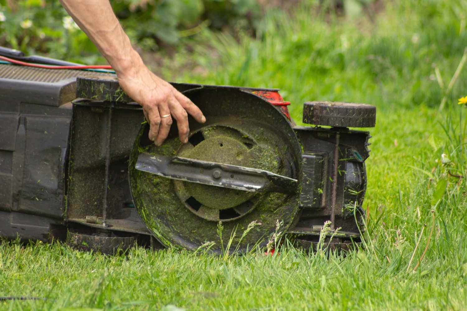 Comment hiverner une tondeuse à gazon