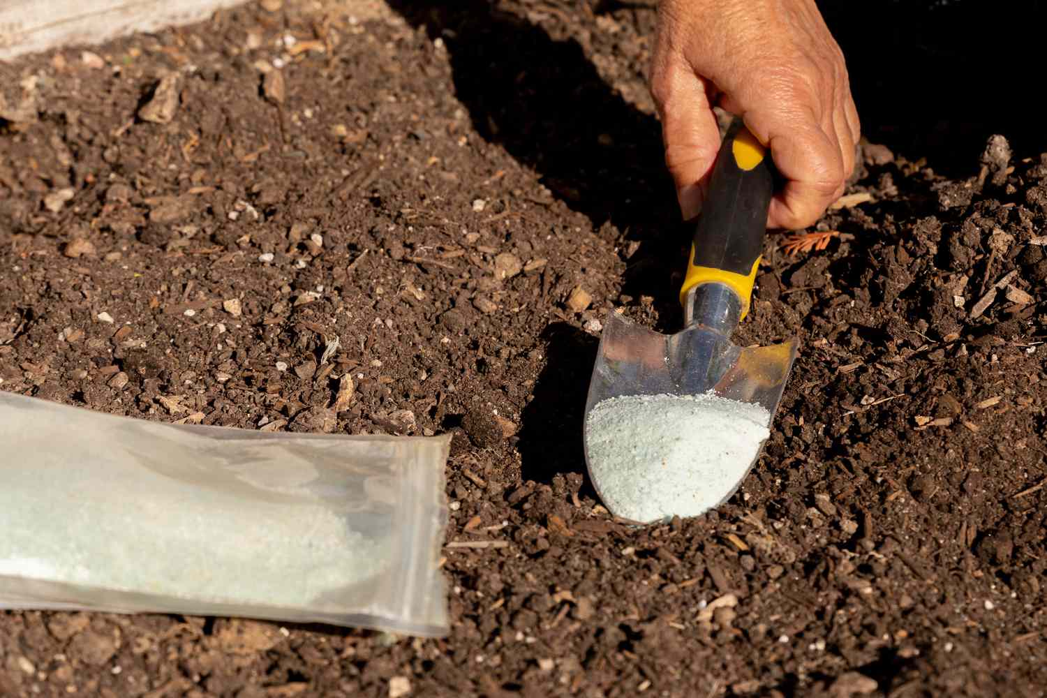 Sulfur on hand-held shovel added to soil for more acidity