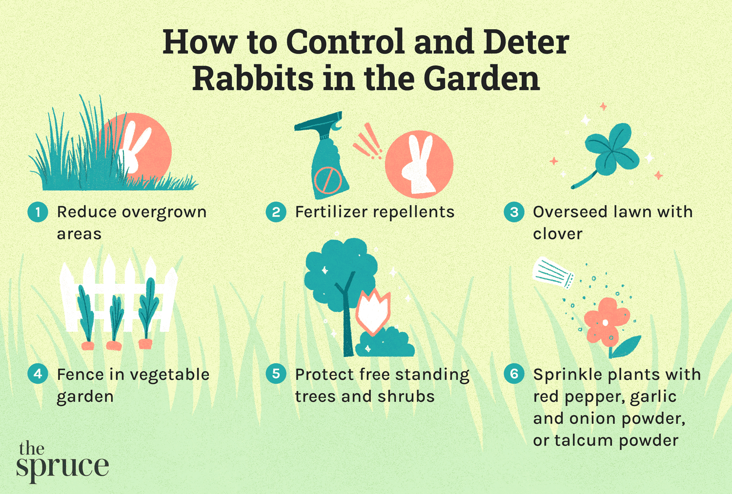 Dicas de controle e dissuasão de coelhos de jardim