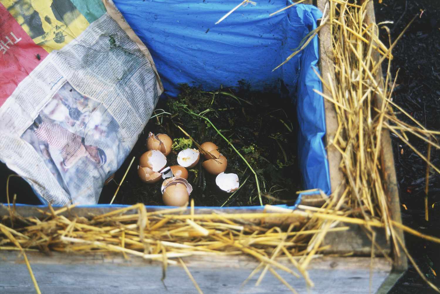 Mit Kunststoff, Holz und Stroh ausgekleideter Wurmkübel, der Erde und Eierschalen sowie ein Blatt Zeitungspapier enthält.