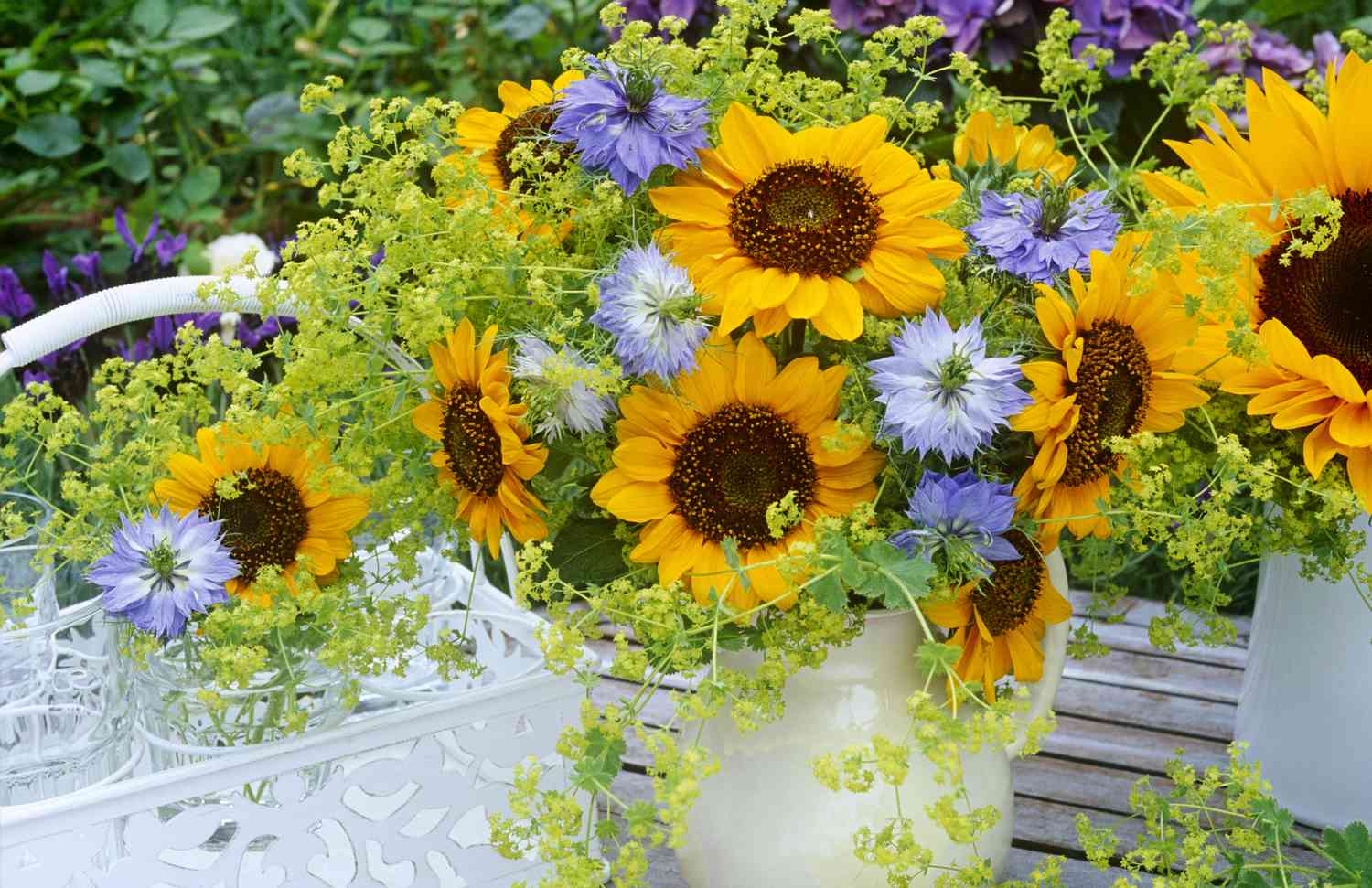 Nigella-Blüten im Topf mit Sonnenblumen