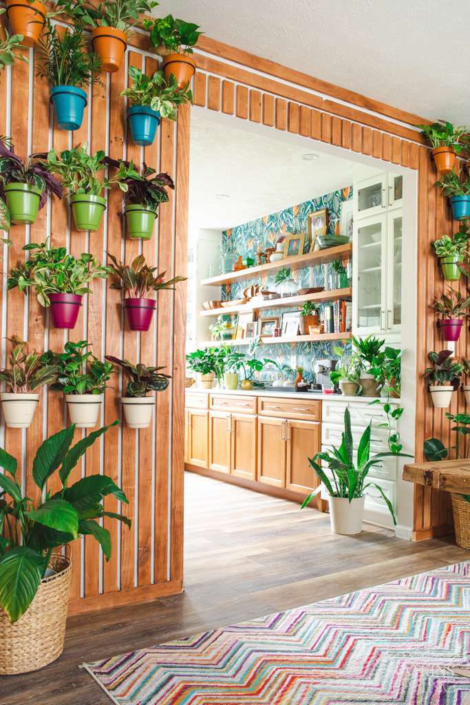 DIY pared de tablones de madera con plantas colgantes en él