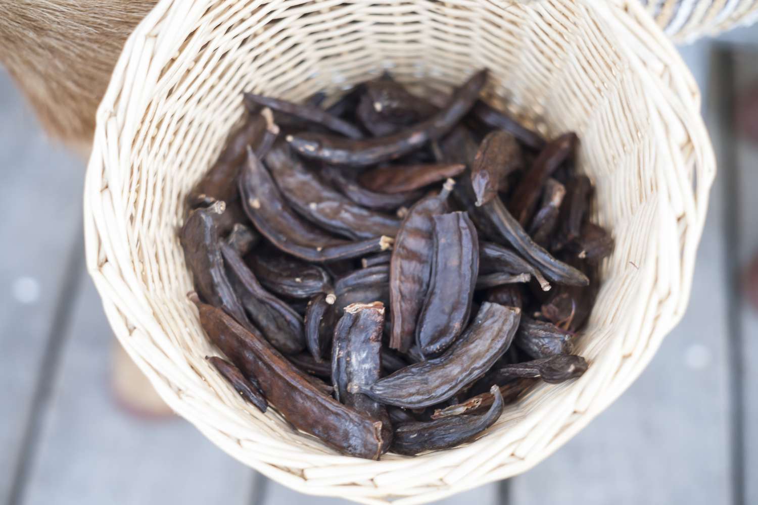 Carob pods