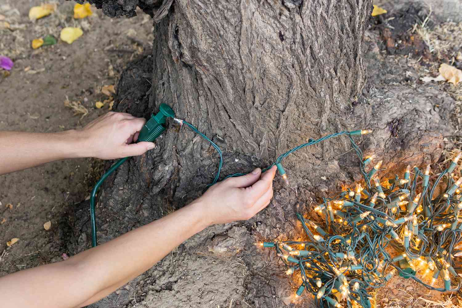 elegir dónde debe empezar el cordón