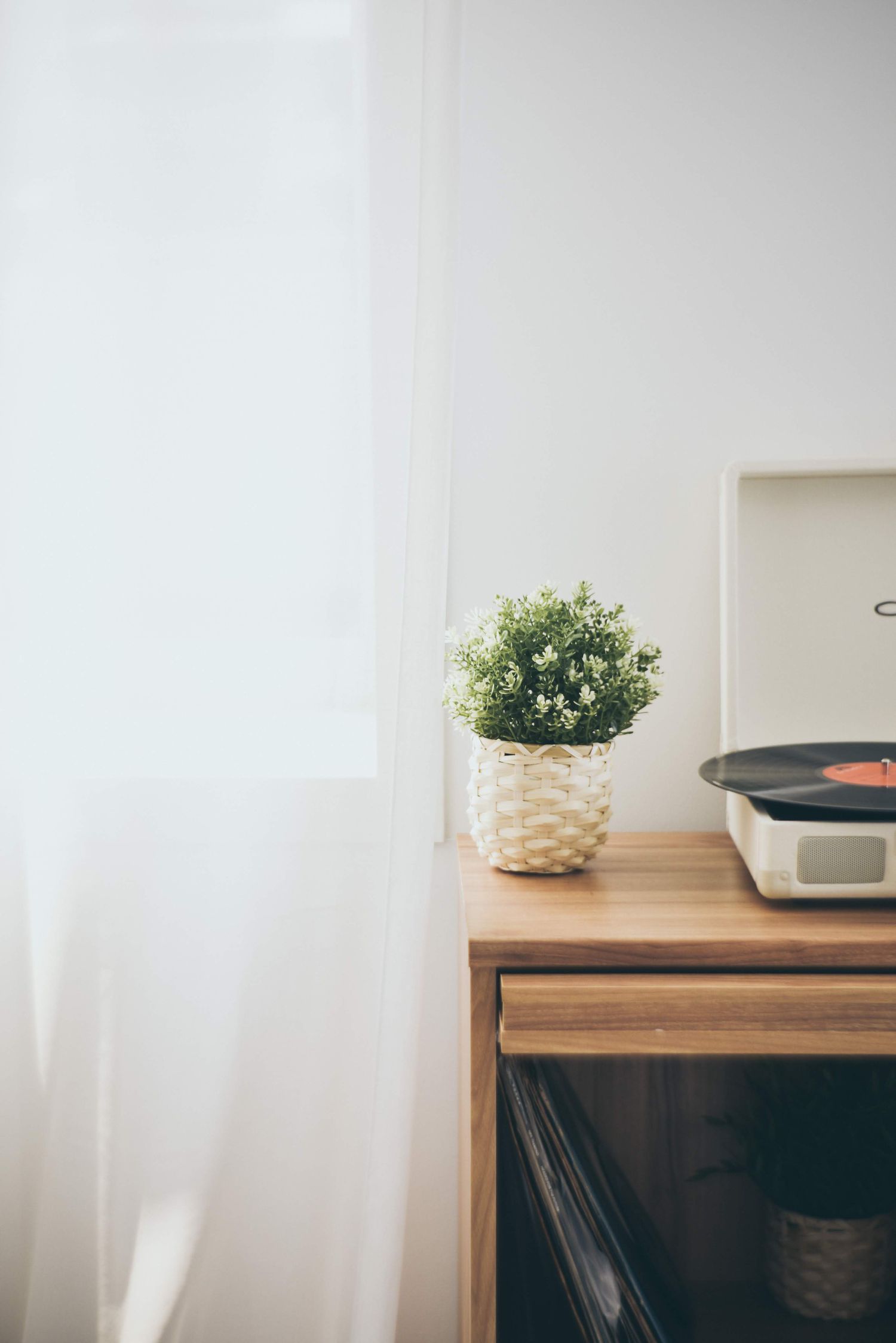 Janela com uma cortina semitransparente, filtrando a luz para uma planta em uma mesa próxima a ela