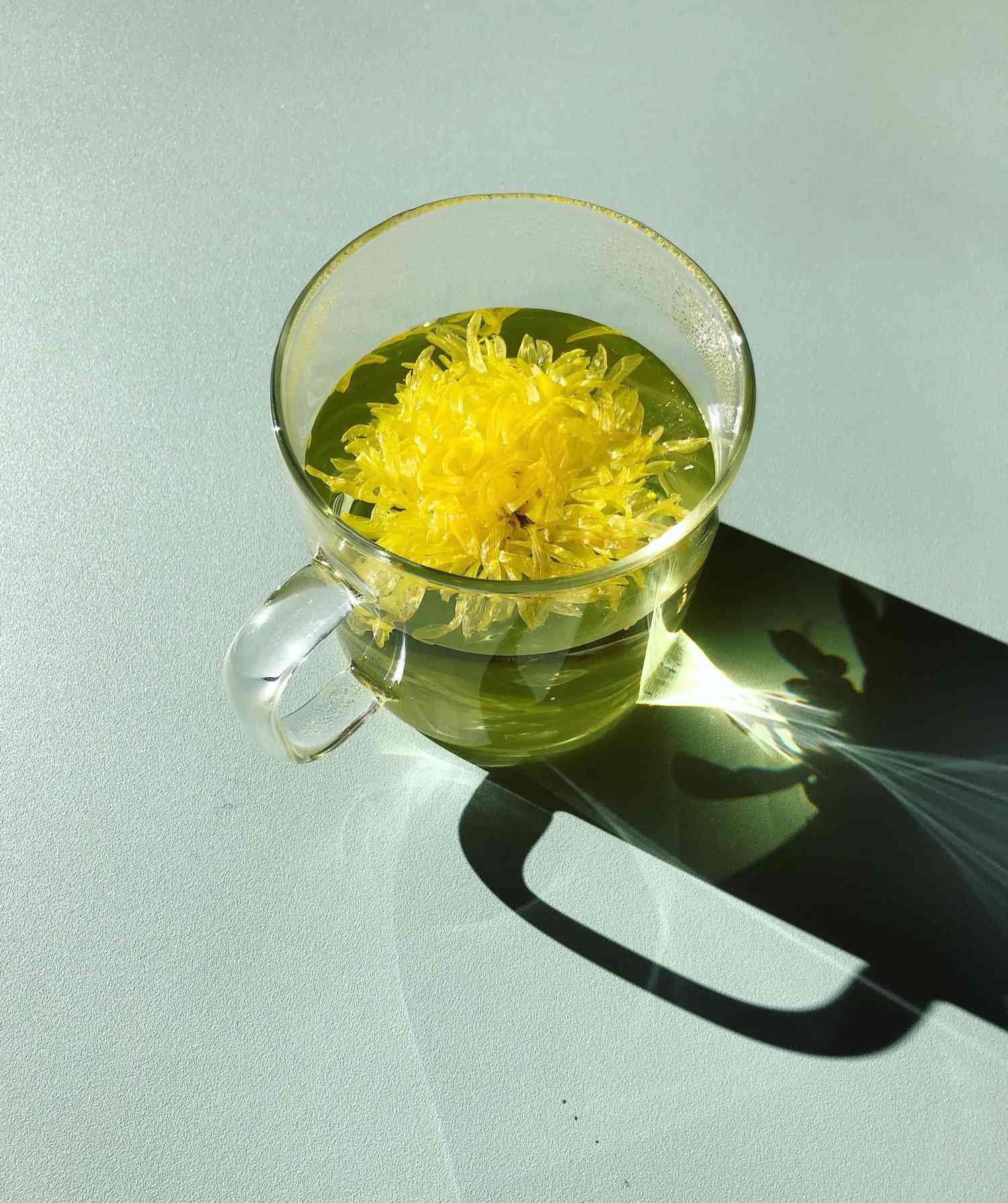 Chrysanthemum Tea