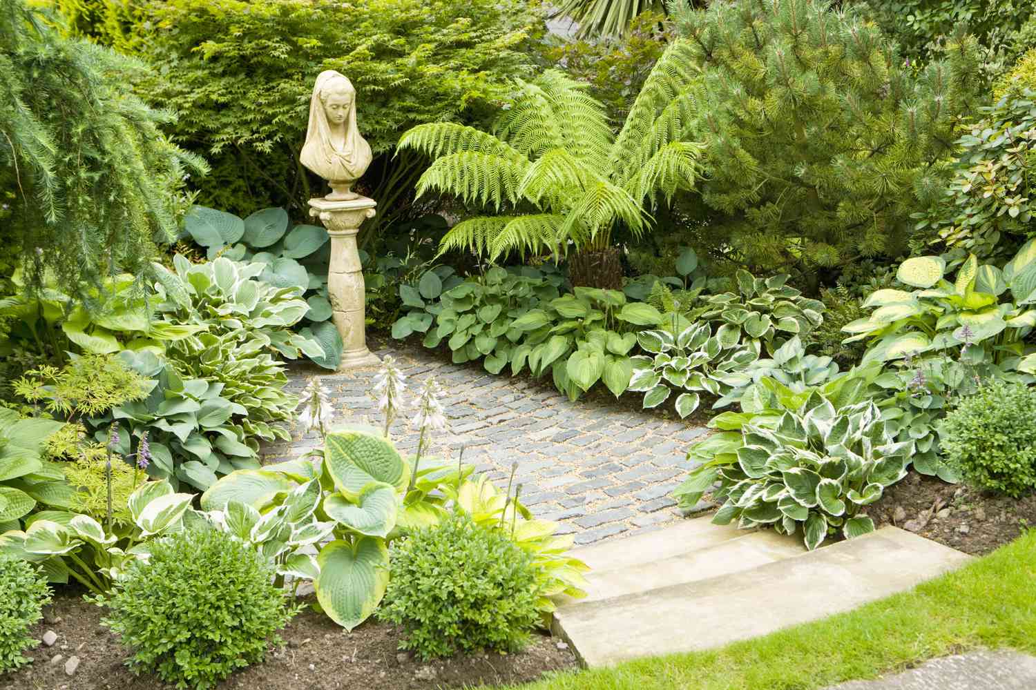 Ferns and hosta line shaded walkway leading to garden statue.