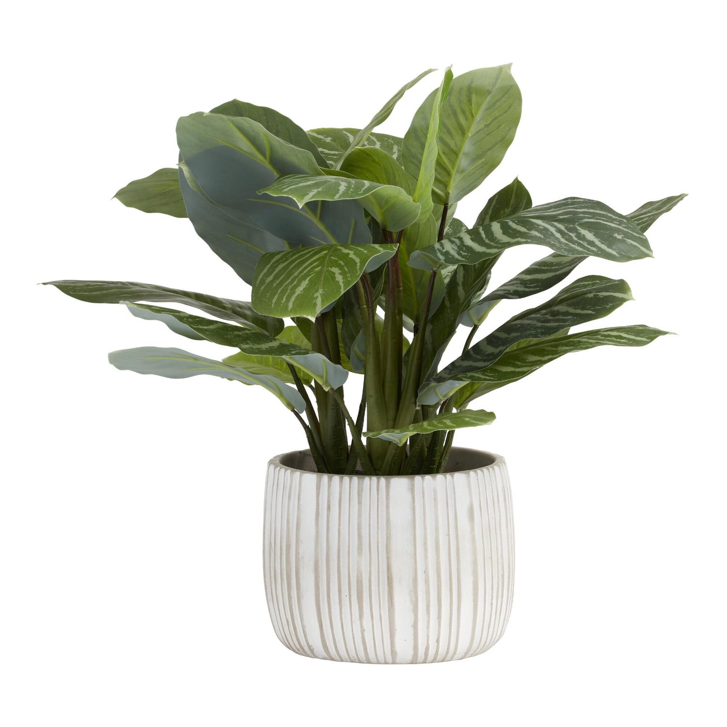 Faux philodendron birkin by World Market