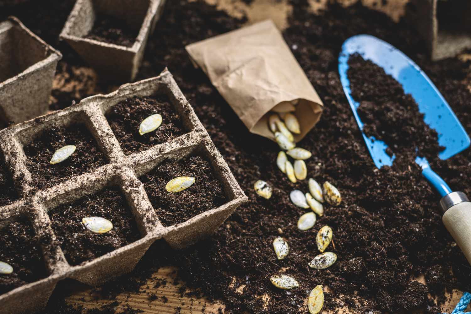 Blaue Kelle mit Papiertüte mit Kürbiskernen und Torfpflanzgefäß mit Erde