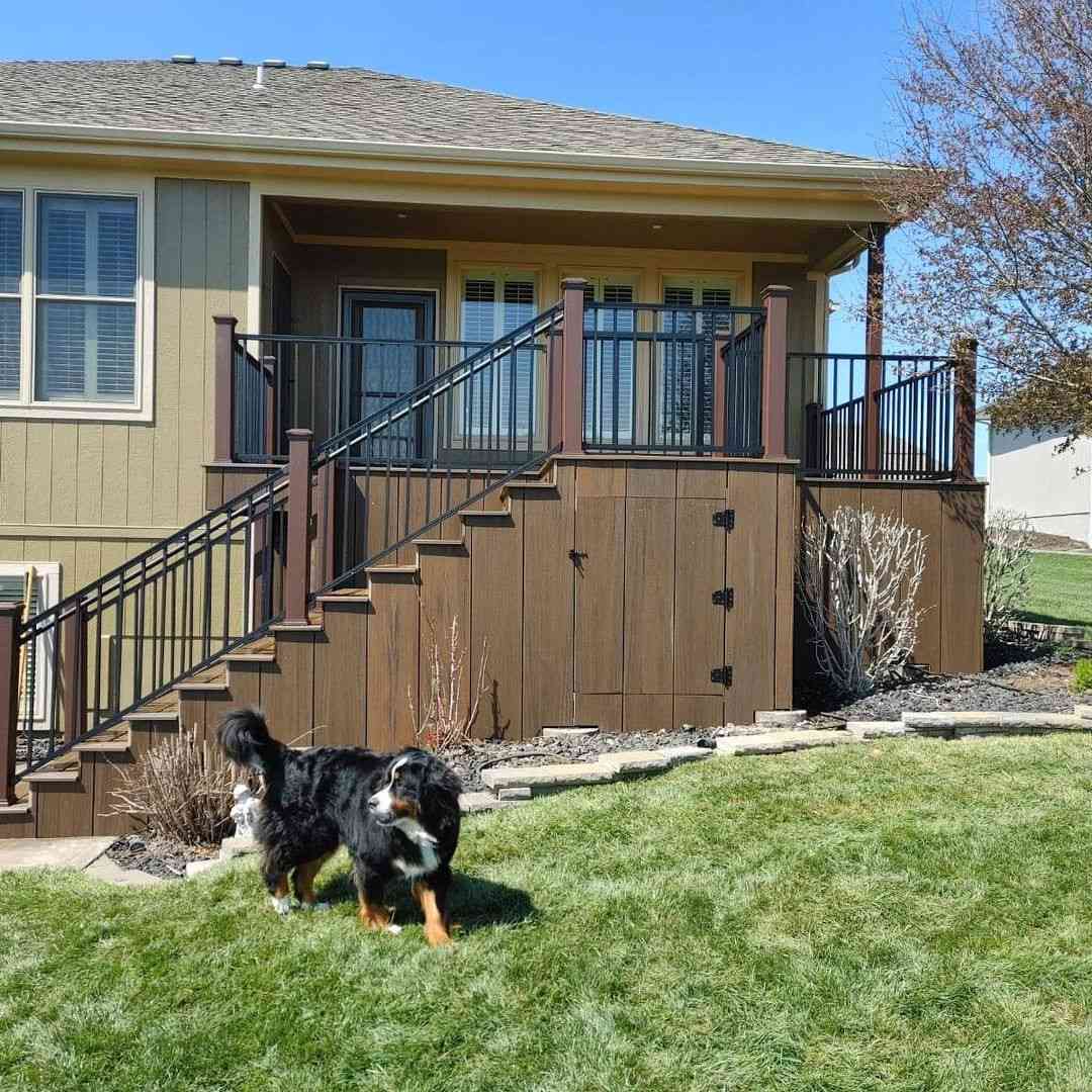 Un chien devant une terrasse arrière