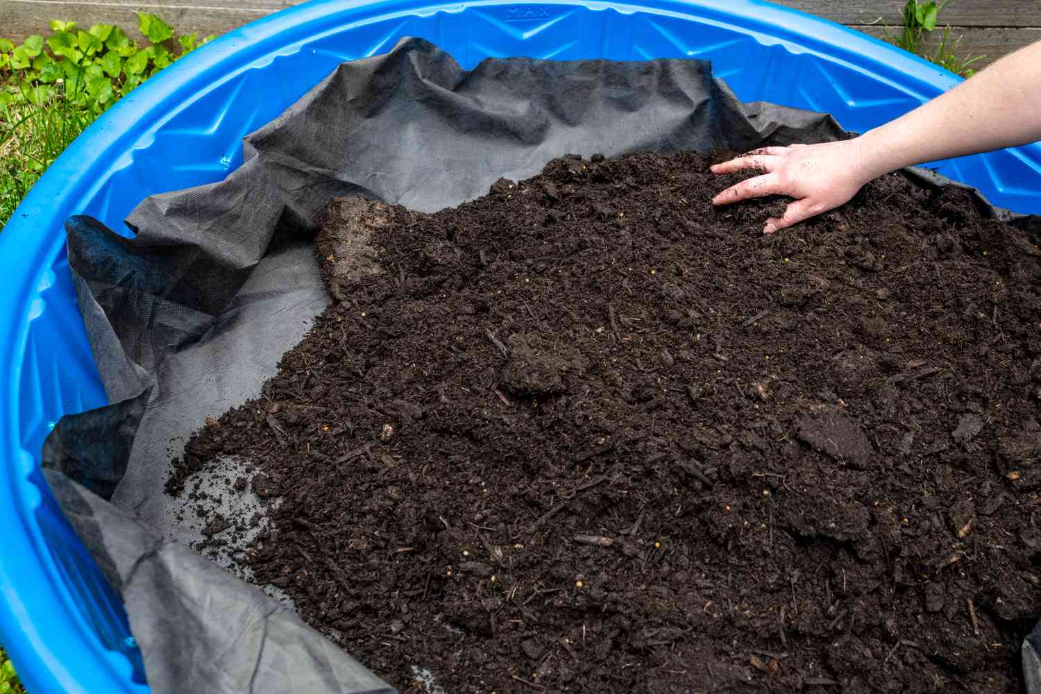 General-purpose potting soil added to kiddie pool 