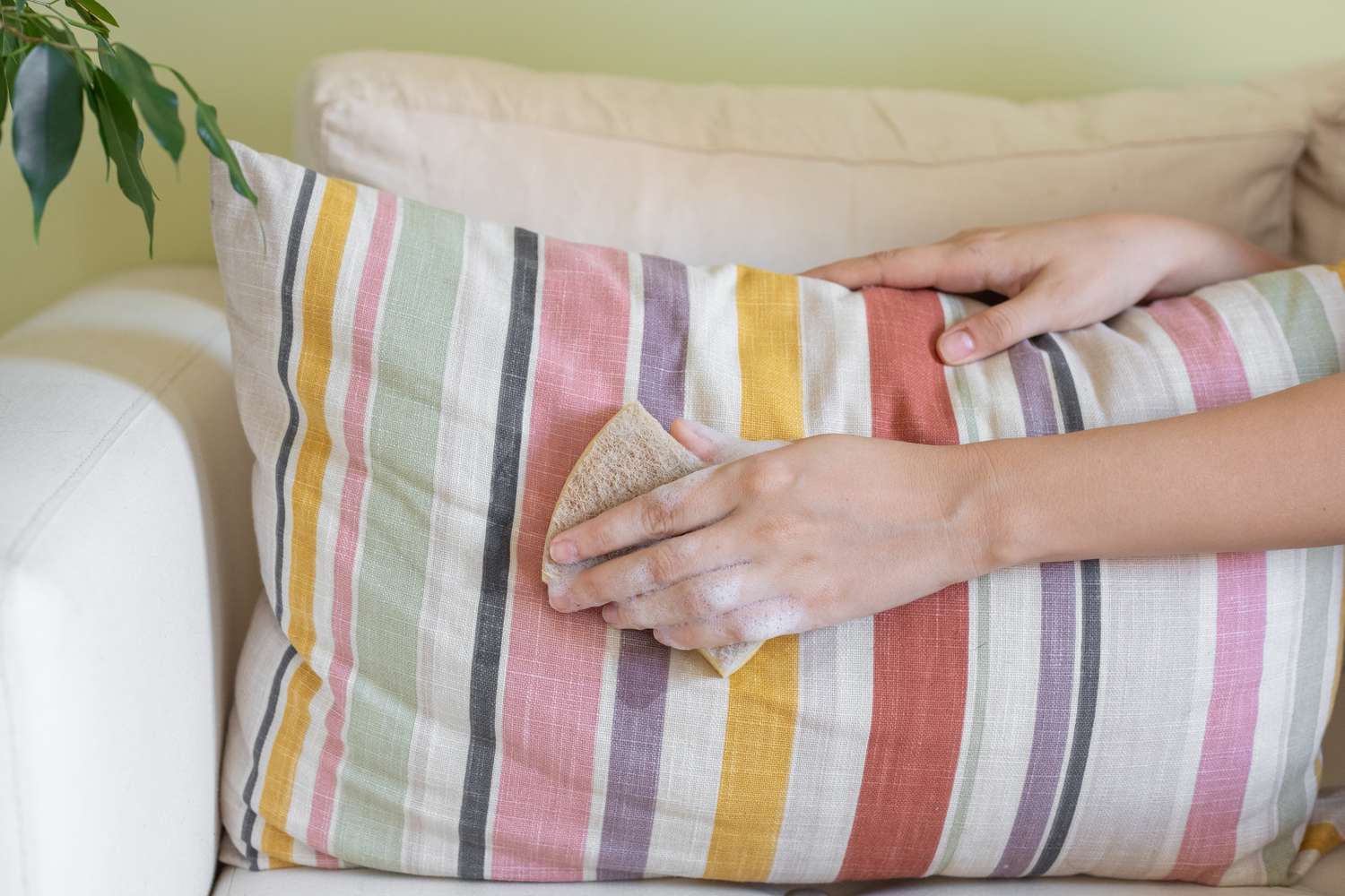 Soapy sponge lathering over striped throw pillow