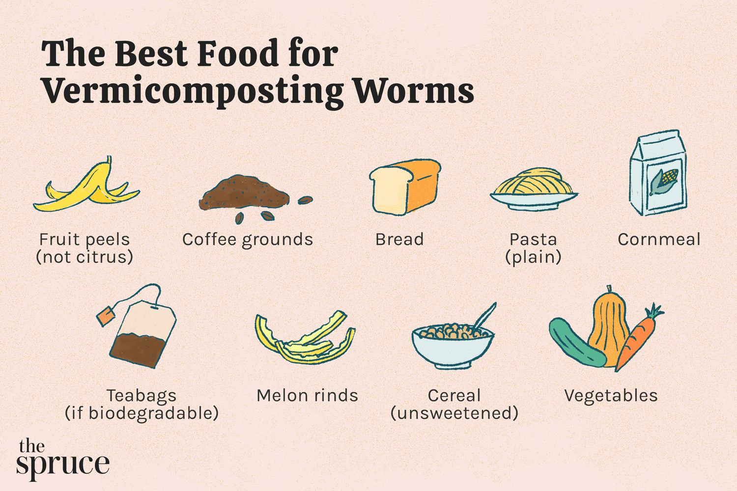 El mejor alimento para lombrices de vermicompostaje