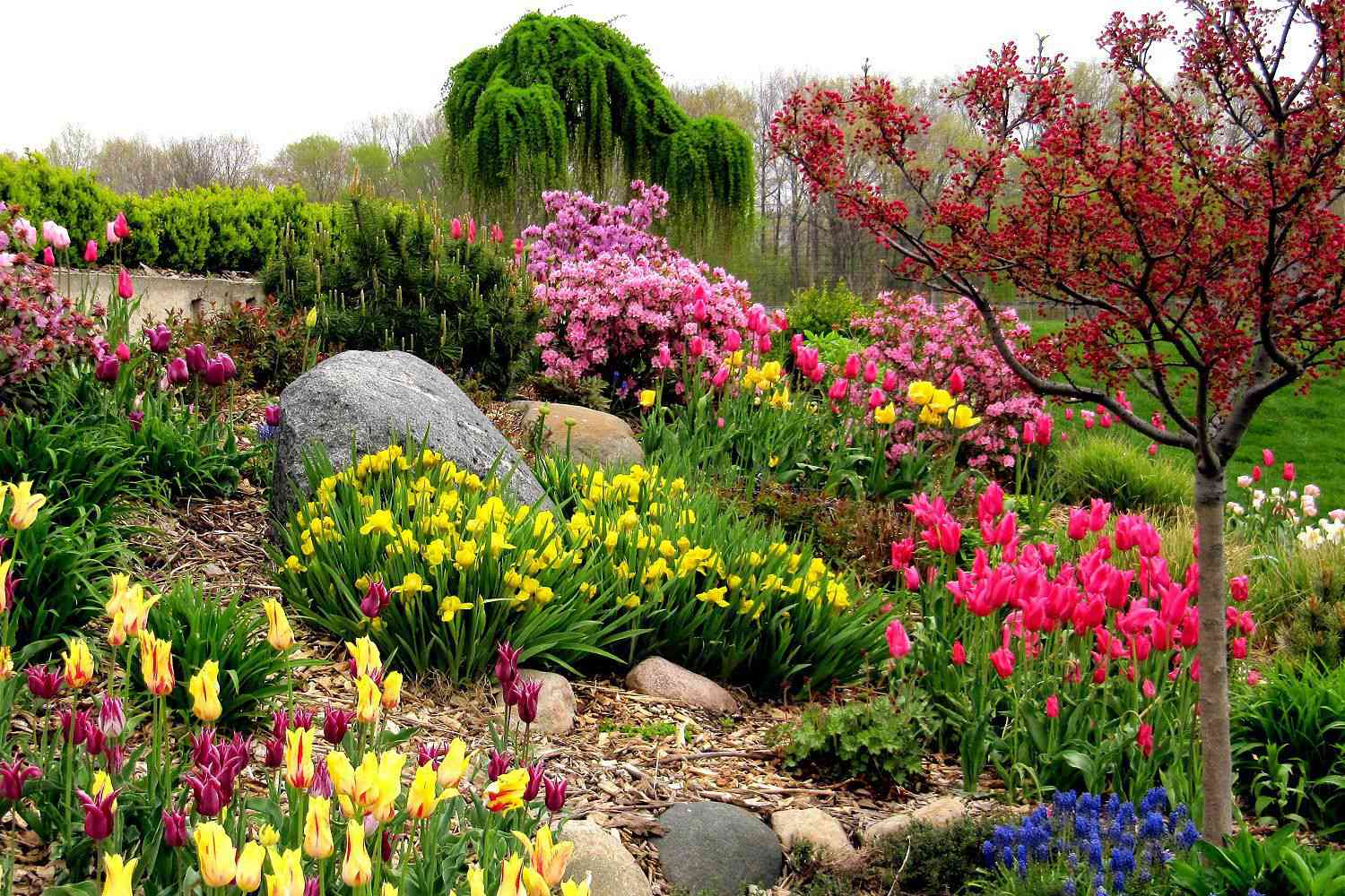 Bunte Pflanzen und Blumen im Garten, um Vögel anzulocken