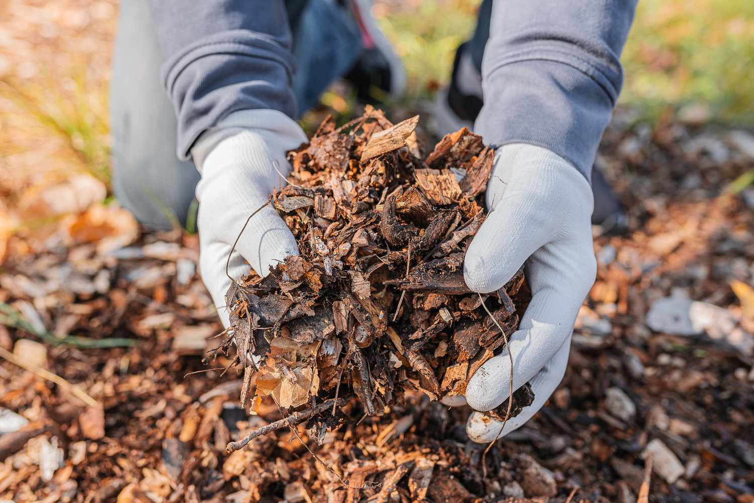 5 Wege zur Verwendung von Herbstlaub im Garten