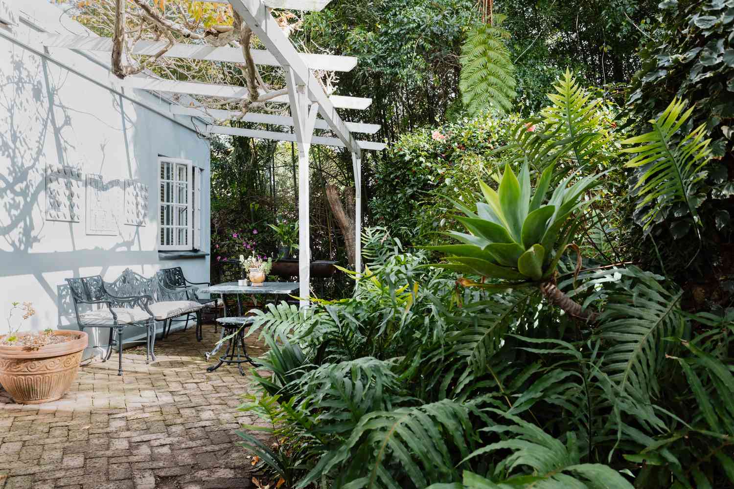 Jardin d'ombre avec de grandes fougères et des plantes à côté de la pergola en bois blanc au-dessus des sièges extérieurs