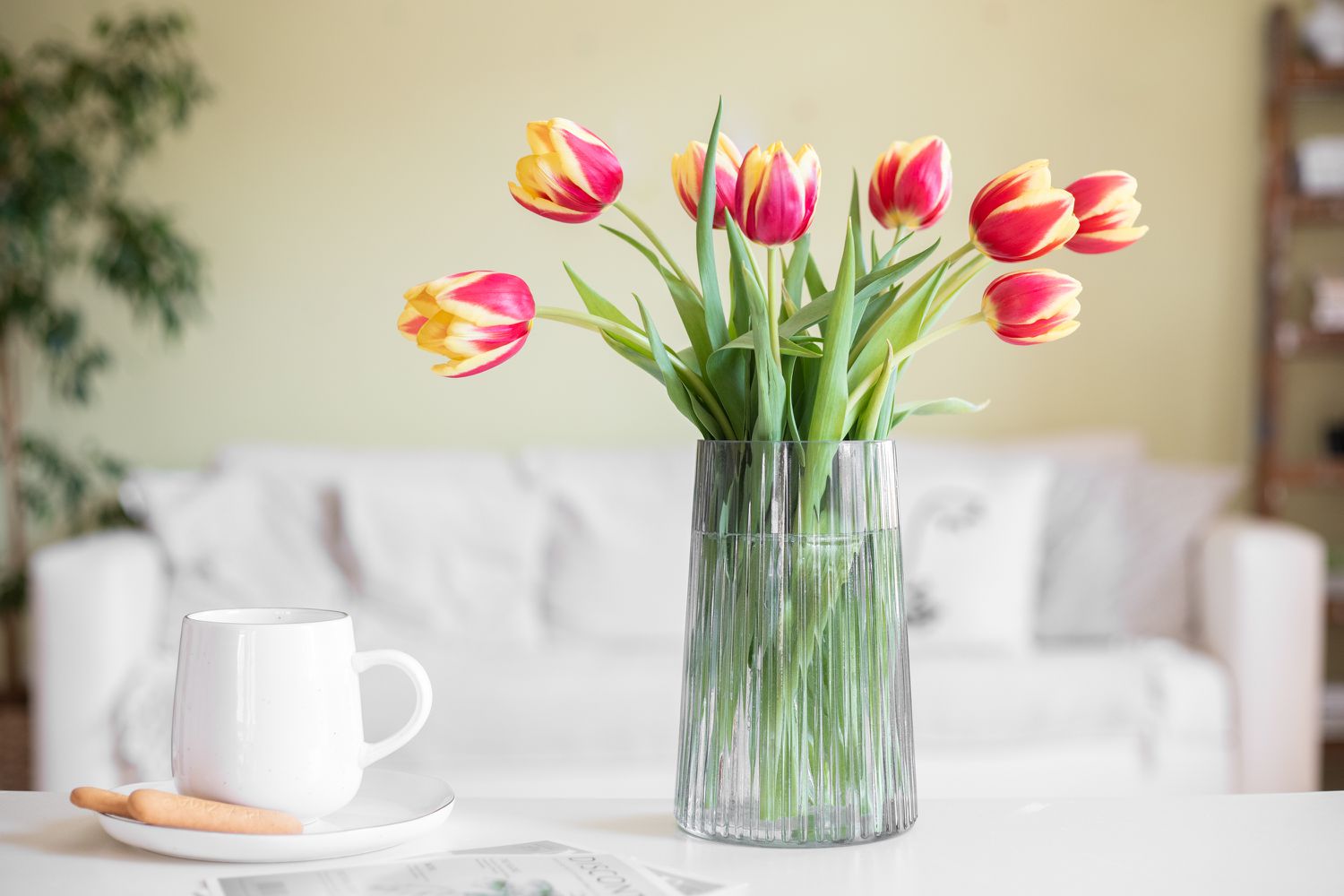 Como fazer com que suas tulipas cortadas durem mais tempo