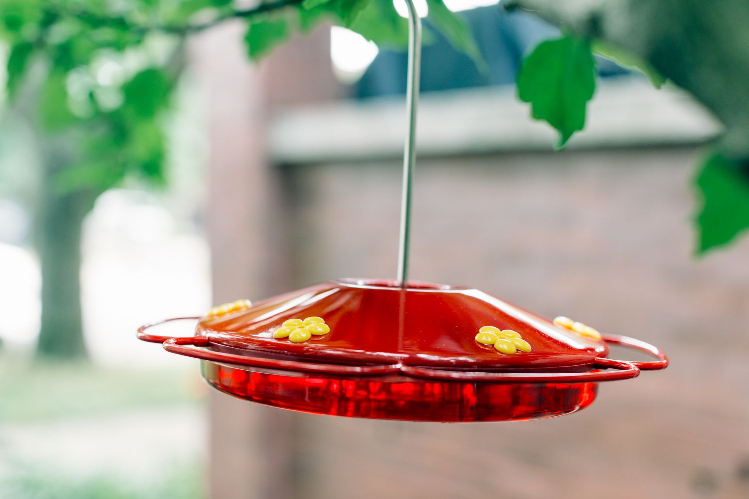 Kolibri-Futterautomat mit rotem Farbstoff im Nektar