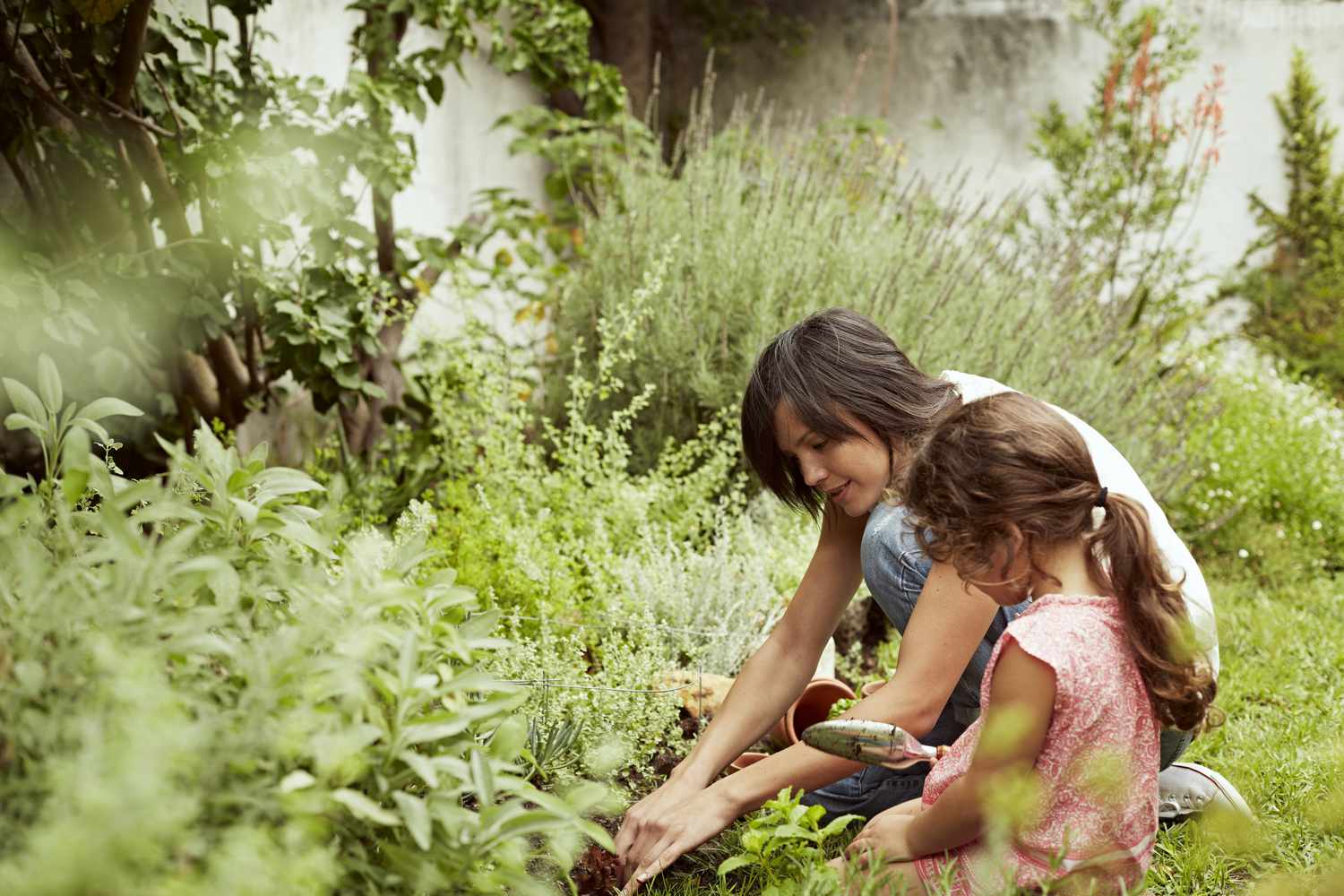 Leitfaden für Zwischenbepflanzung und Zwischenfruchtanbau im Garten