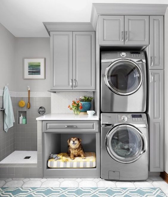 dog in laundry room