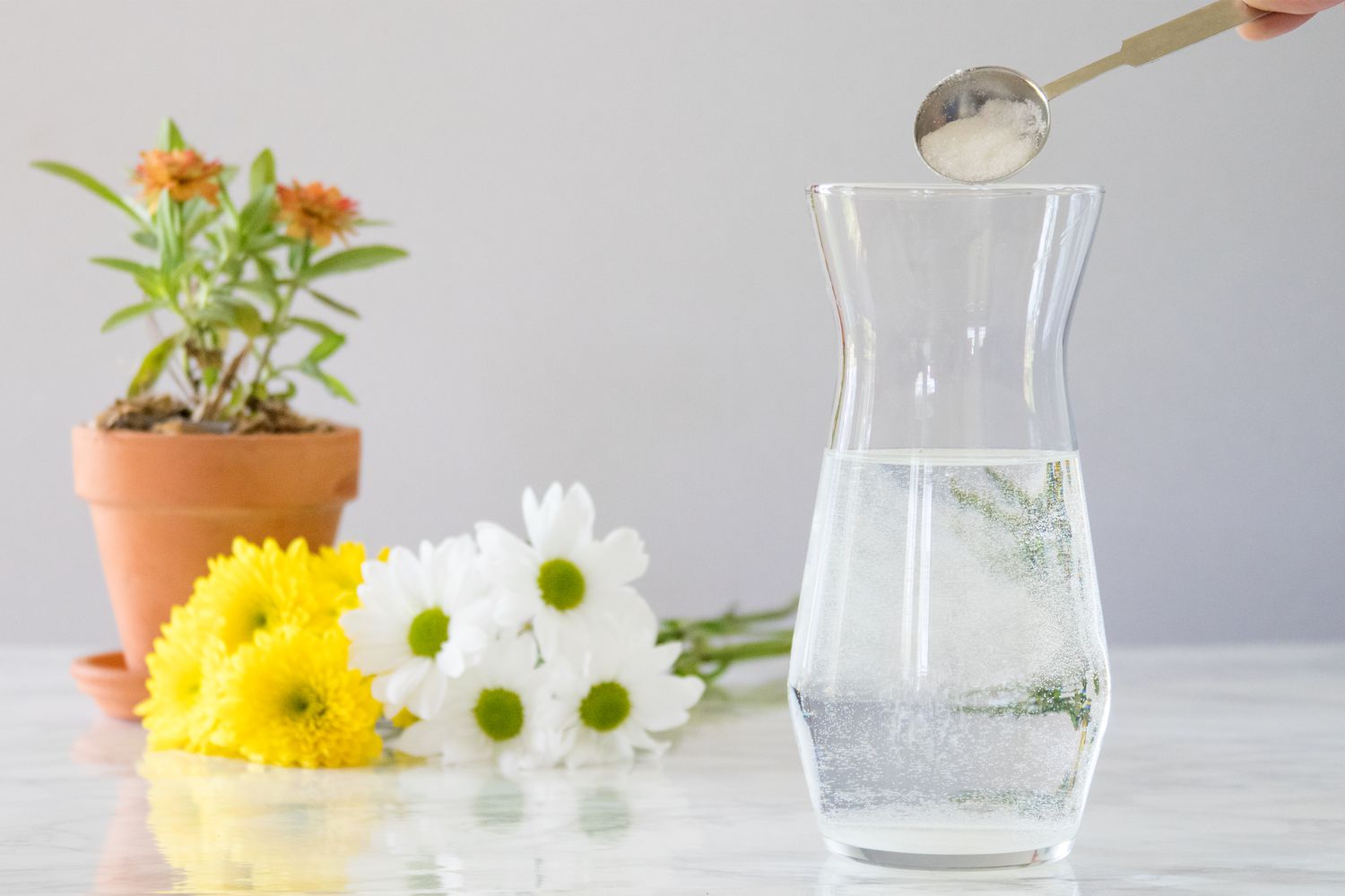 Eine Schaufel Zucker in eine Glasvase mit Wasser neben Schnitt- und Topfblumen gegossen