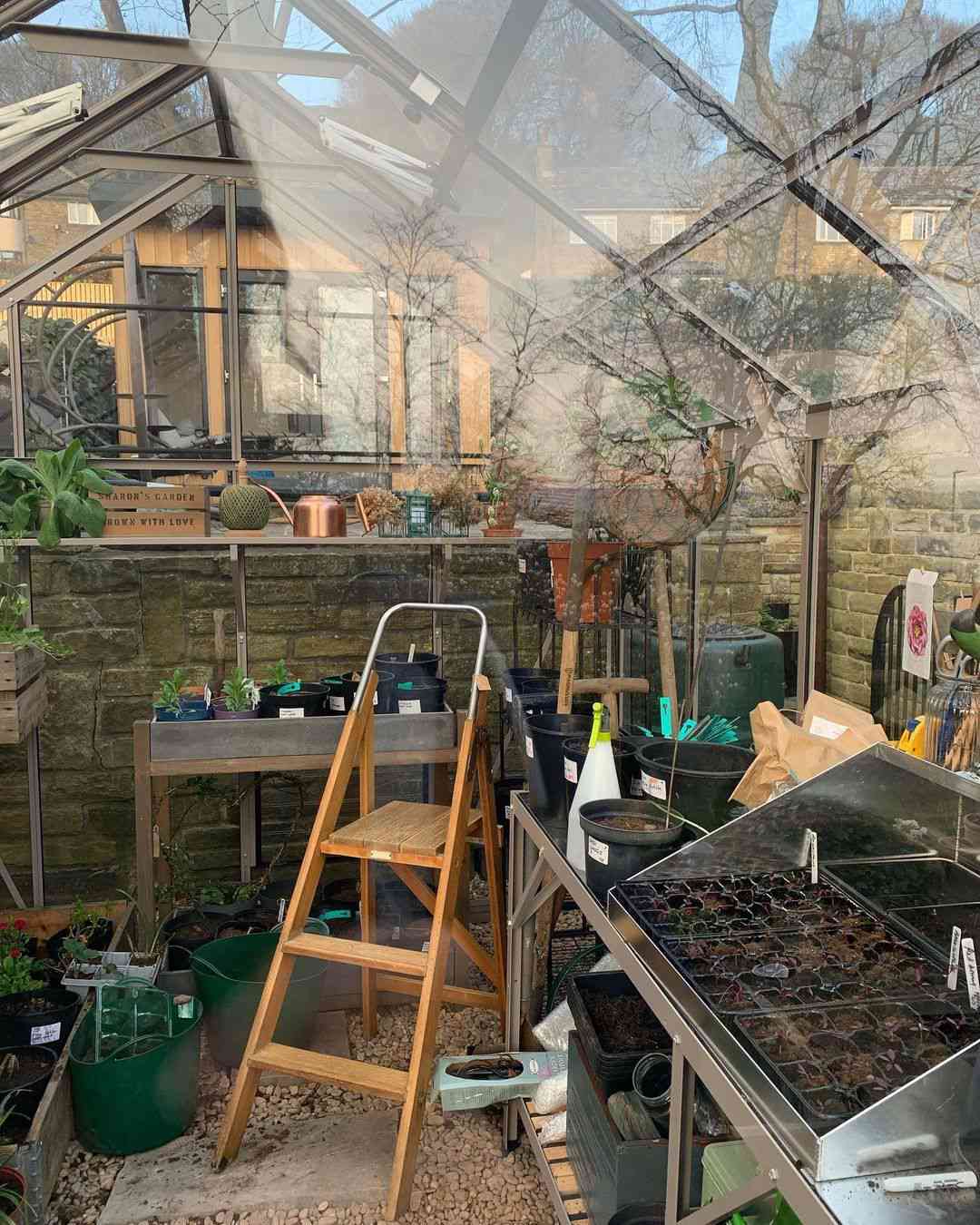 Zona de plantación en esquina de invernadero de cristal con escaleras de tijera y macetas